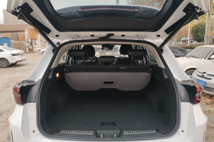 Used  Zhuifeng 2020 Chasing the Waves Edition 1.5T CVT Xingrui Version
