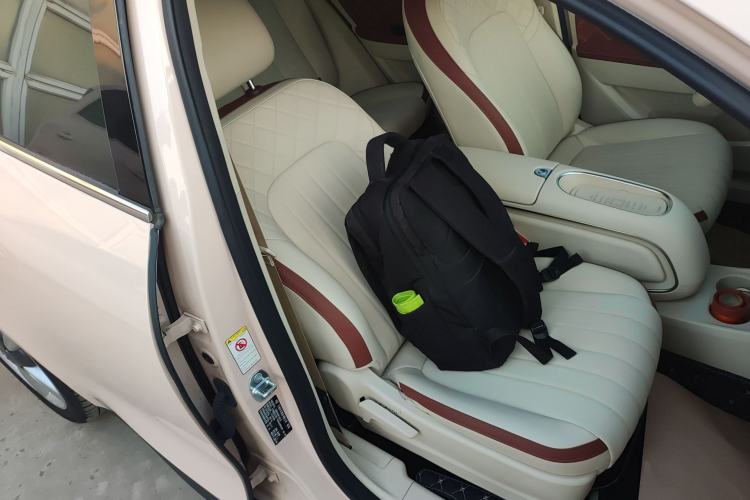 Used ORA Good Cat 2023 401 km Standard Range Luxury Version Lithium Iron Phosphate
