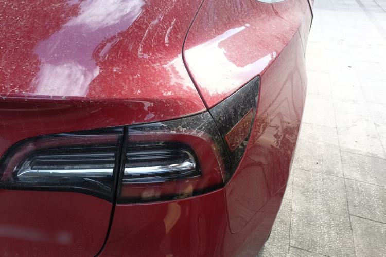 Used Tesla Model 3 2021 Standard Range Rear-Drive Upgraded Version