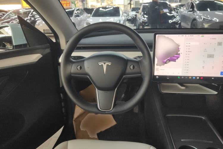 Used Tesla Model Y 2021 Standard Range Rear-Wheel Drive Version
