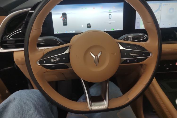 Used VOYAH Dream 2022 Low-Carbon Edition Home