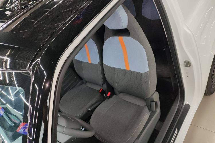 Used  Panda 2024 Panda Mini 200km Endurance Bear
