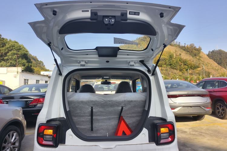 Used  Panda 2024 Panda Mini 200km Endurance Bear
