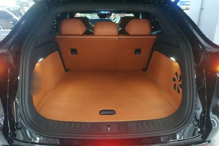 Used  S07 2024 215Max Range-Extended Version
