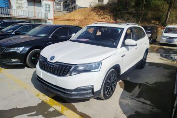 Used Skoda Kamiq 2020 1.5L Automatic Comfort Edition