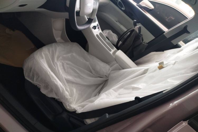 Used  Geome 2025 310km Youth Edition
