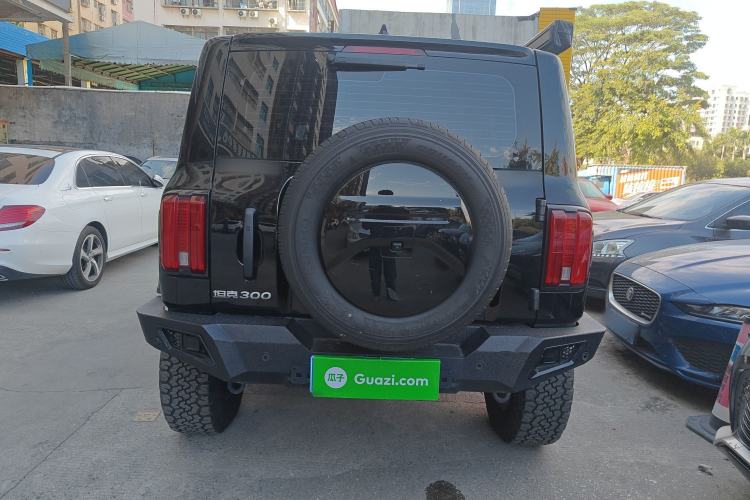 Used Tank 300 2024 2.0T Conqueror