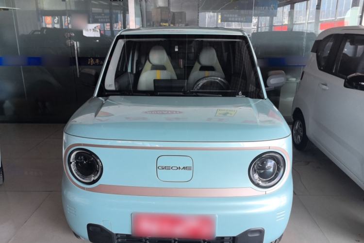 Used  Panda 2024 Panda Mini 200km Dragon Edition
