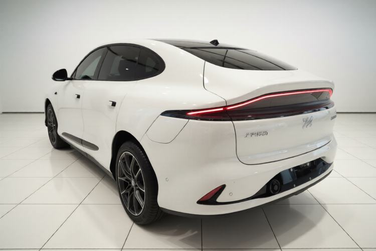 Used IM LS6 2023 Max Long-Range Version