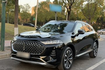 Used Wey Mocha 2021 2.0T Two-Wheel-Drive Premium Edition