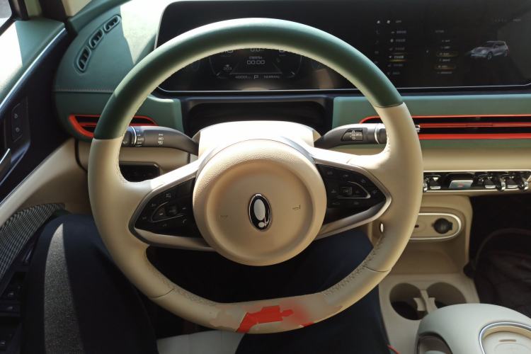 Used ORA Good Cat 2023 401 km Standard Range Luxury Version Lithium Iron Phosphate
