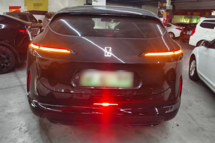 Used  07 2024 Pro Pure Electric Version
