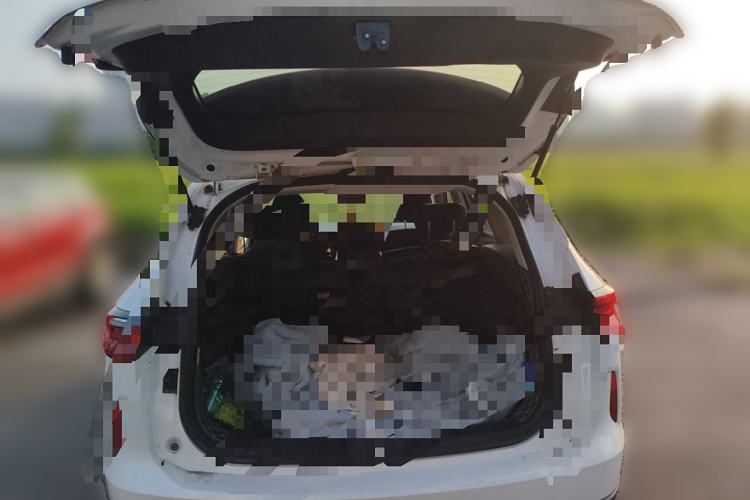 Used Haval H6 2021 3rd Generation 2.0T Automatic Two-Wheel Drive Max
