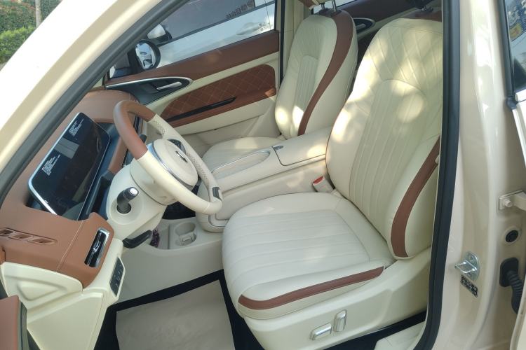 Used ORA Good Cat 2024 401 km Luxury Version
