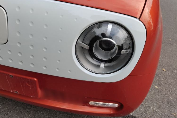 Used ORA Black Cat 2019 351 km Goddess Edition
