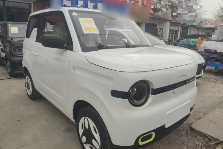 Used  Panda 2025 210 km – Yuanqi Bear
