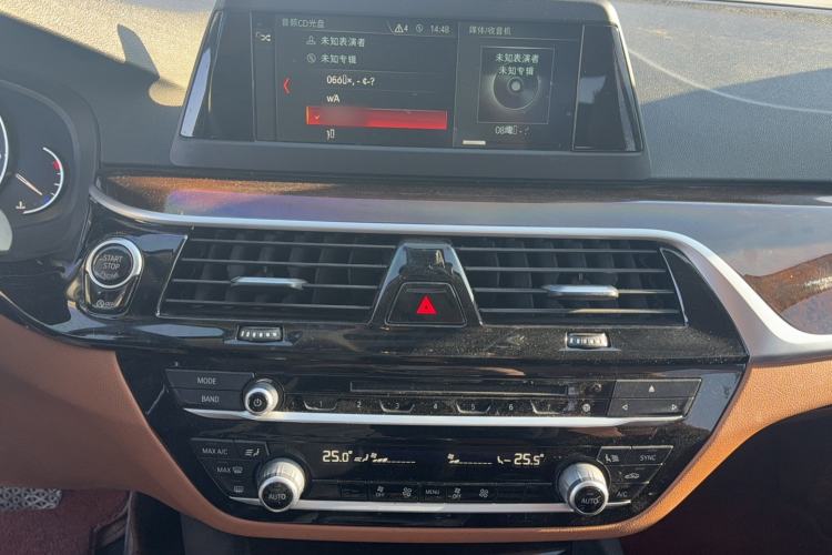 Used BMW 5 Series 2018 528Li Launch Special Edition
