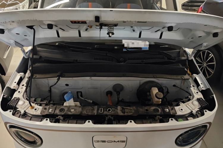 Used  Panda 2023 Panda Mini 200km Dynamic Bear
