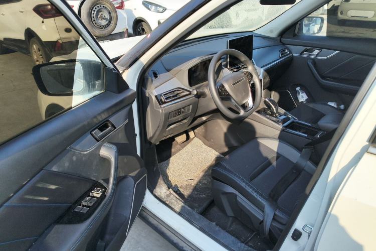 Used Venucia T60EV 2020 AI Enjoyment Model
