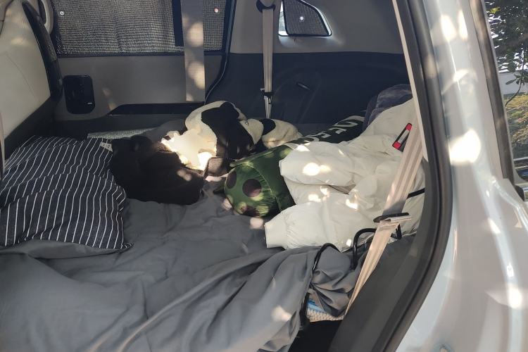 Used ARCFOX Kaola S 2024 AIR model