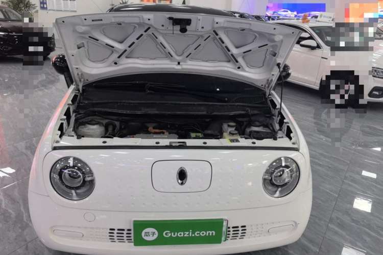 Used ORA Black Cat 2019 310km Fun Edition
