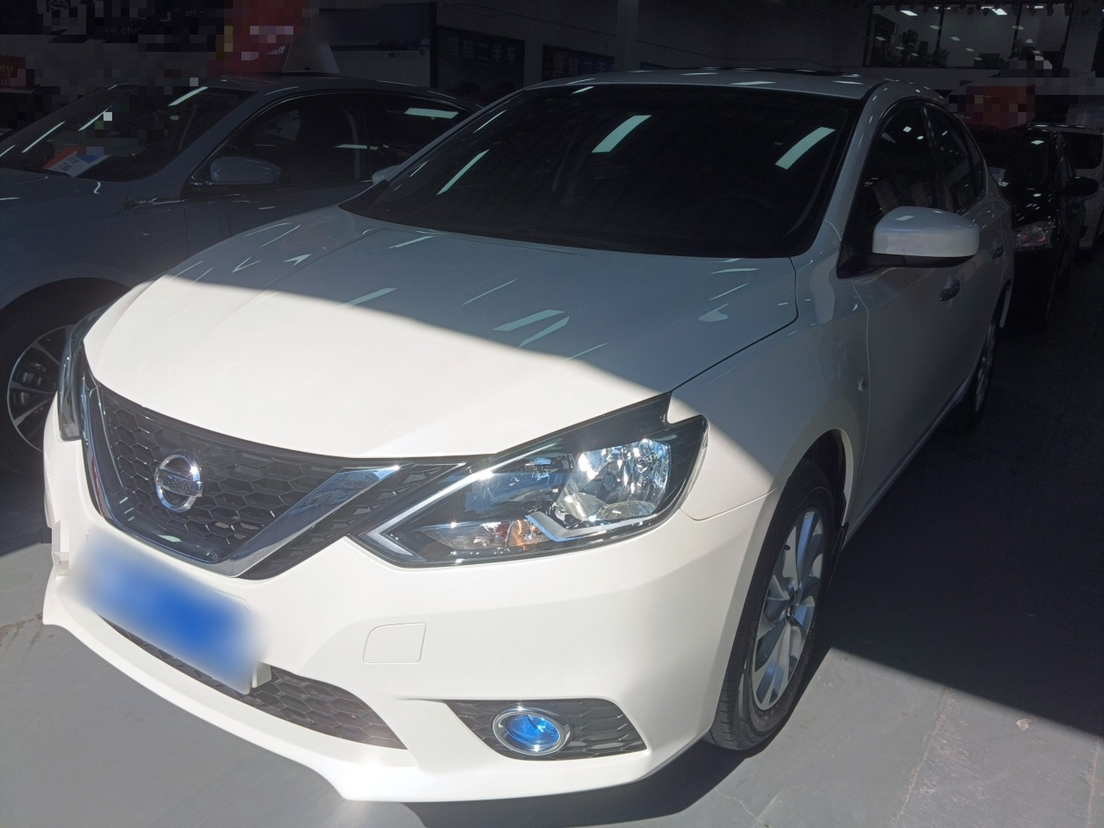 تحت مقدمة السيارة