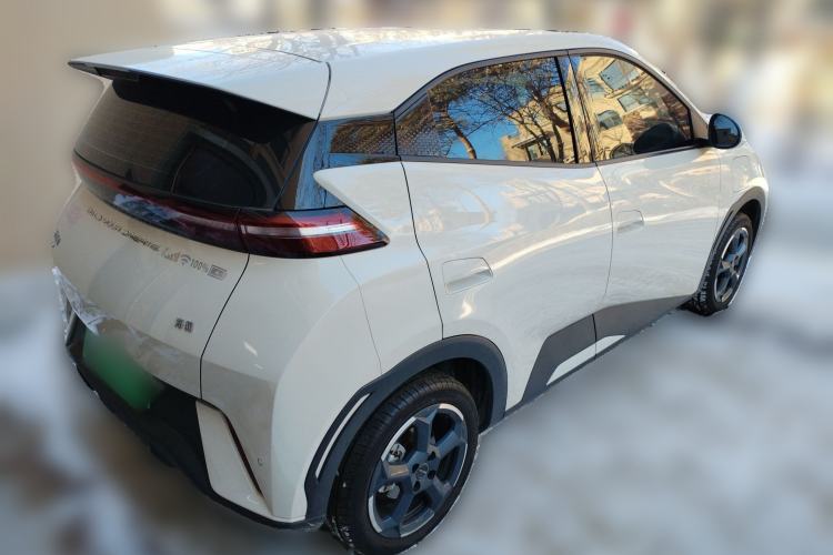 Used BYD Seagull 2023 Flying Edition
