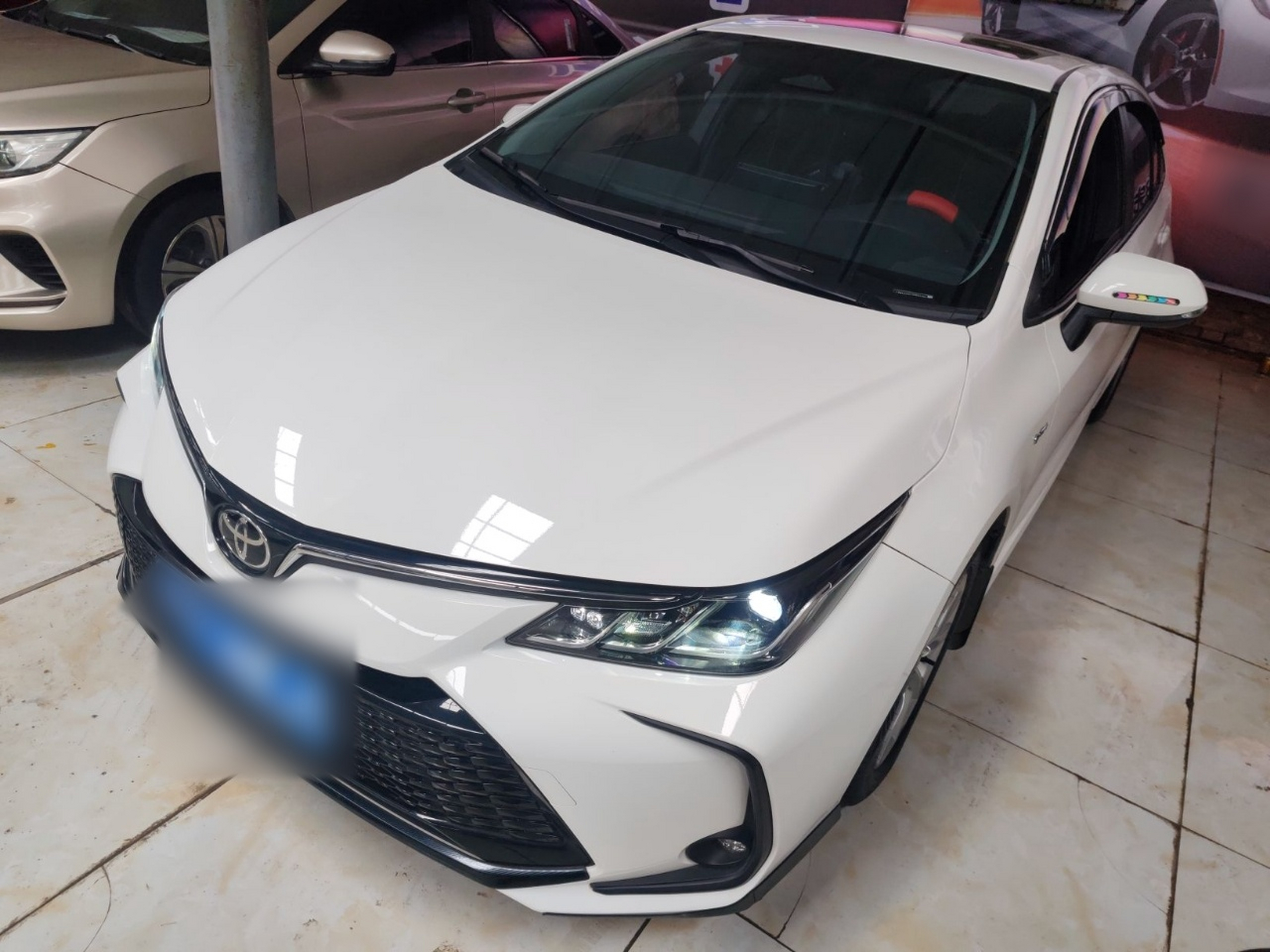 تحت مقدمة السيارة