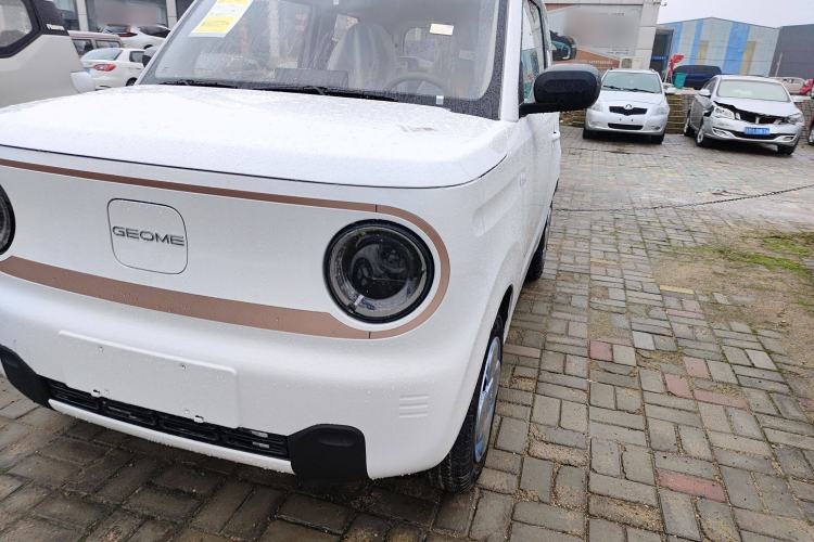 Used  Panda 2024 Panda Mini 200km Endurance Bear
