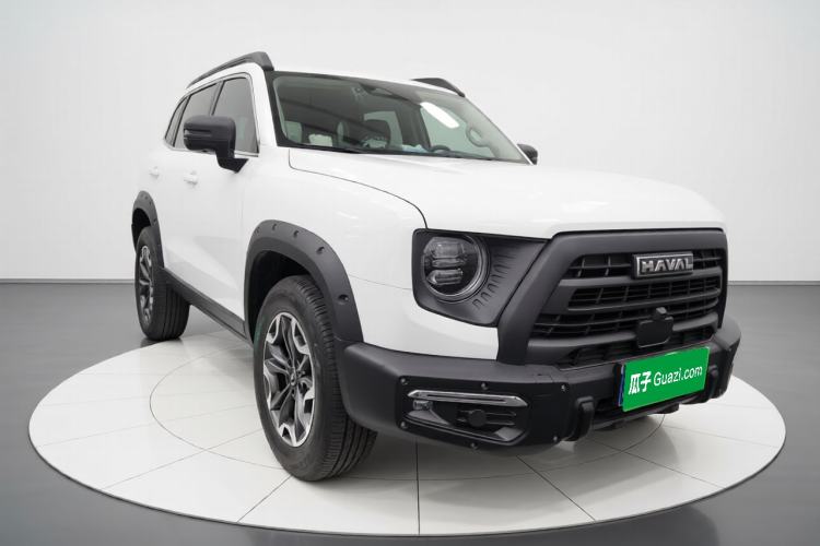Used Haval DARGO 2024 2.0T DCT Chinese Rural Dog Edition