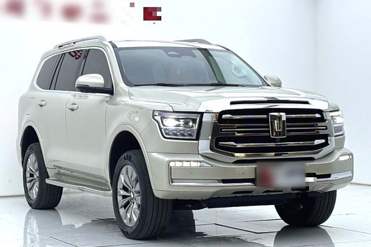 Used Tank 500 New Energy 2025 Hi4-Z
