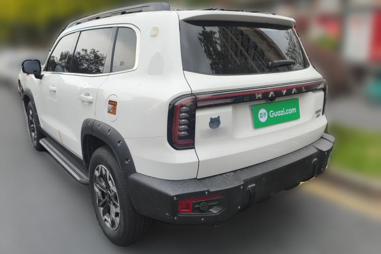 Used Haval DARGO 2024 2.0T DCT Chinese Rural Dog Edition