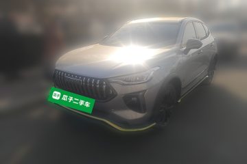 Used Haval LHERY 2021 High-Performance Version 1.5T Golden Rabbit