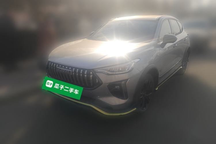 Used Haval LHERY 2021 High-Performance Version 1.5T Golden Rabbit