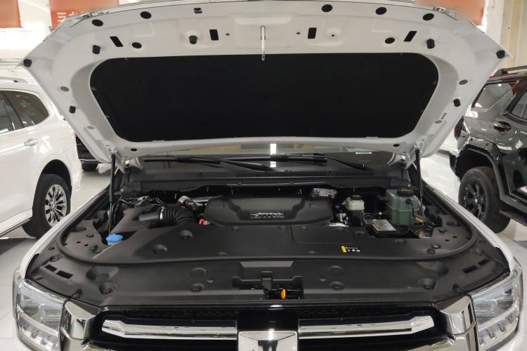 Used Tank 500 New Energy 2025 Hi4-Z