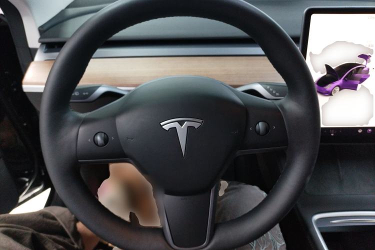 Used Tesla Model 3 2022 Rear-Wheel-Drive Version
