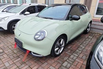 Used ORA Good Cat 2022 Morandi Edition 400km Standard Range Luxury Version Lithium Iron Phosphate