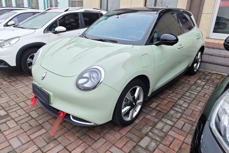 Used ORA Good Cat 2022 Morandi Edition 400km Standard Range Luxury Version Lithium Iron Phosphate