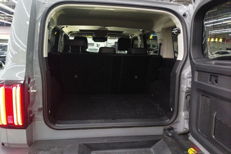 Used Tank 300 2021 City Edition 2.0T—Truly Stylish
