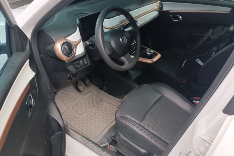 Used Dongfeng NAMMI EX1 2023 PRO Light Wind Edition Lightning Model
