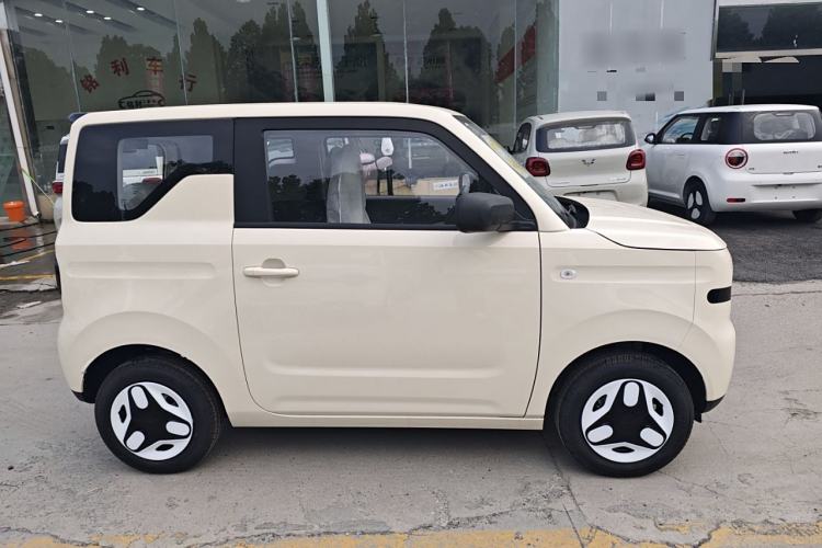 Used  Panda 2025 210 km – Yuanqi Bear
