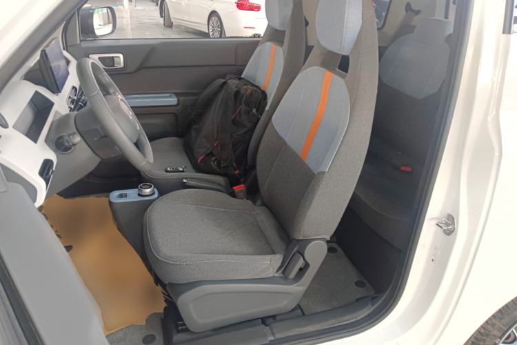 Used  Panda 2024 Panda Mini 200km Endurance Bear