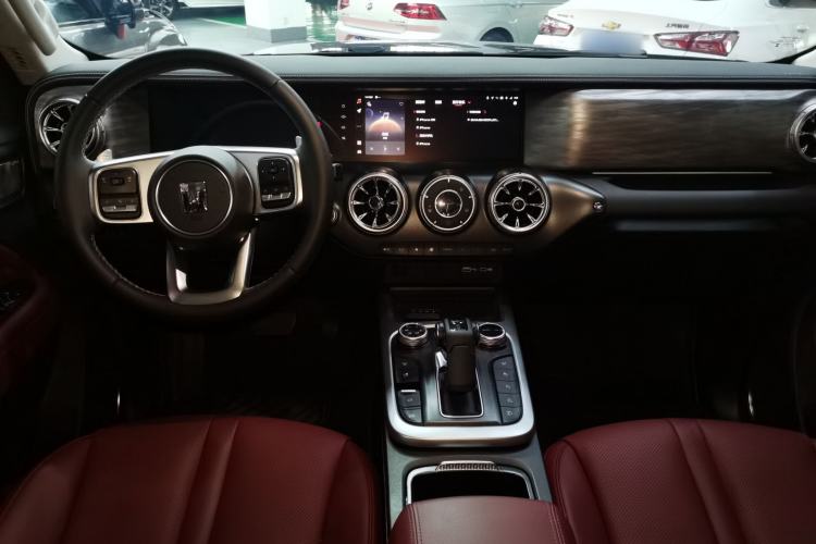 Used Tank 300 2024 2.0T Crosser
