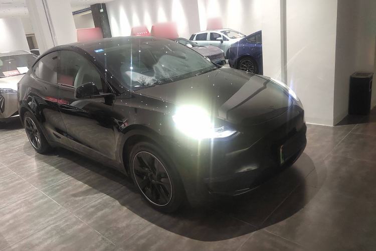 Used Tesla Model Y 2021 Standard Range Rear-Wheel Drive Version
