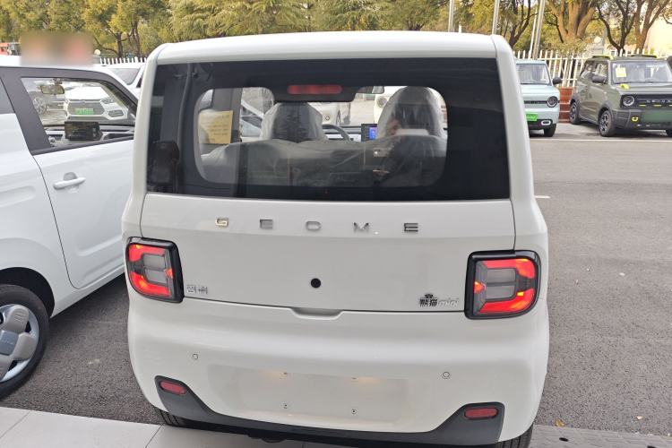 Used  Panda 2024 Panda Mini 200km Endurance Bear
