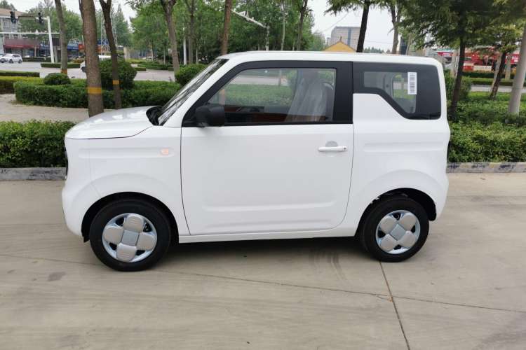 Used  Panda 2024 Panda Mini 200km Endurance Bear
