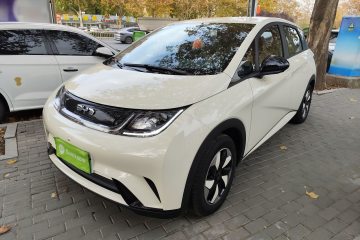 Used BYD Dolphin 2025 420km Free Edition