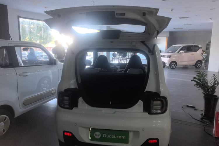 Used  Panda 2024 Panda Mini 200km Endurance Bear
