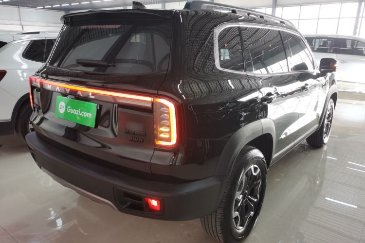 Used Haval DARGO 2024 2.0T DCT Chinese Rural Dog Edition