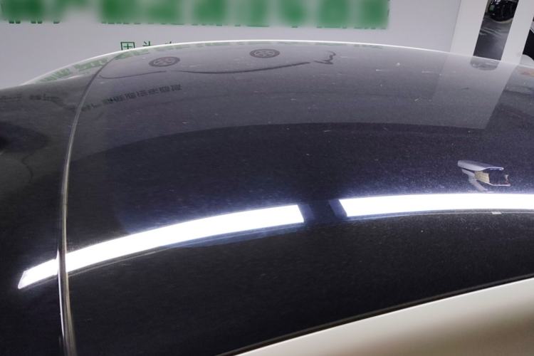 Used  LS6 2023 Max Standard Edition
